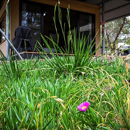 Belair National Park Holiday Park Luaran gambar