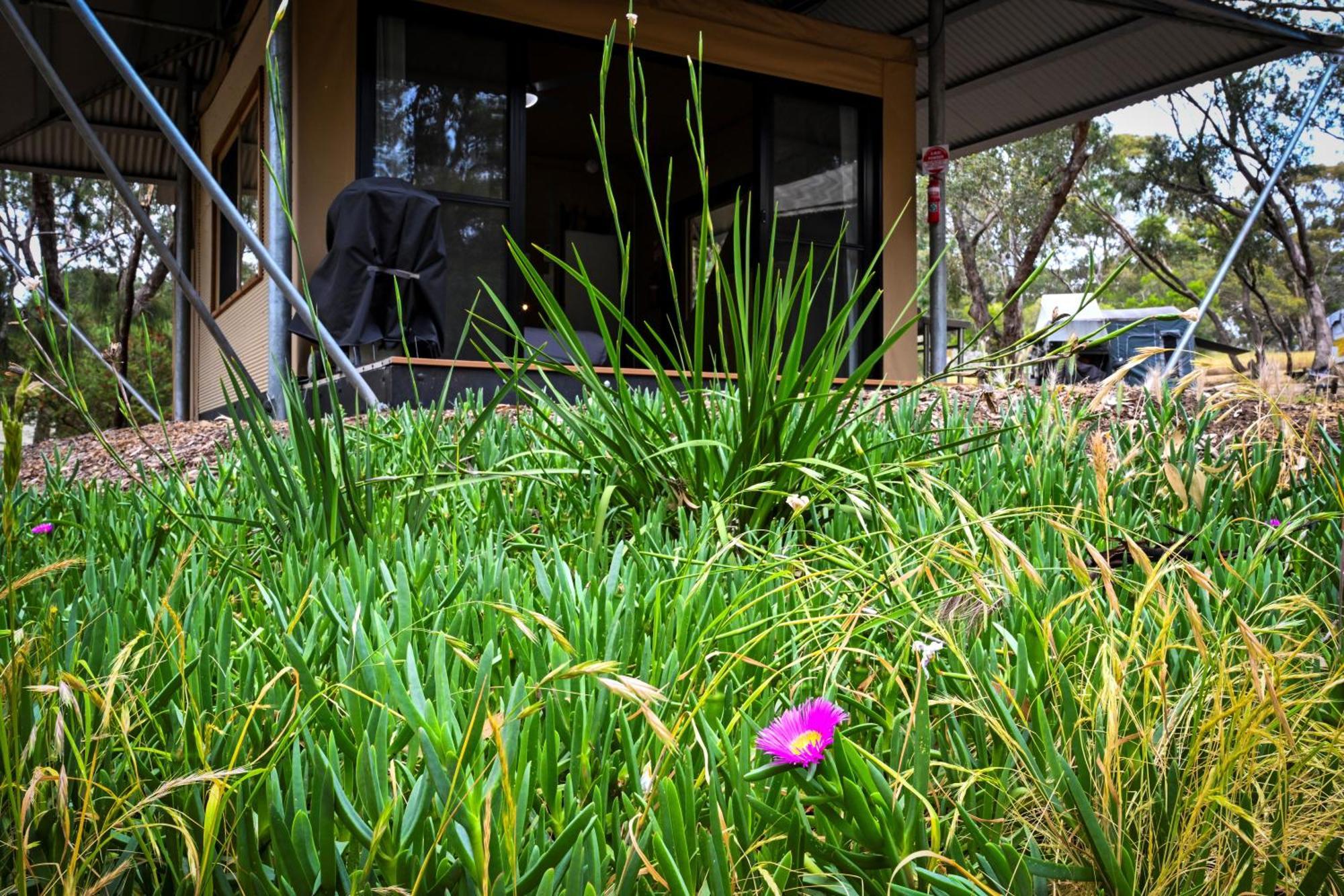 Belair National Park Holiday Park Luaran gambar
