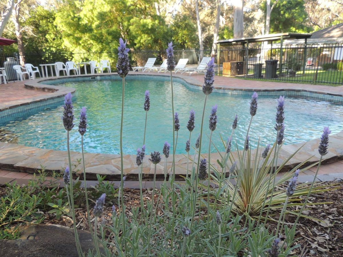 Belair National Park Holiday Park Luaran gambar