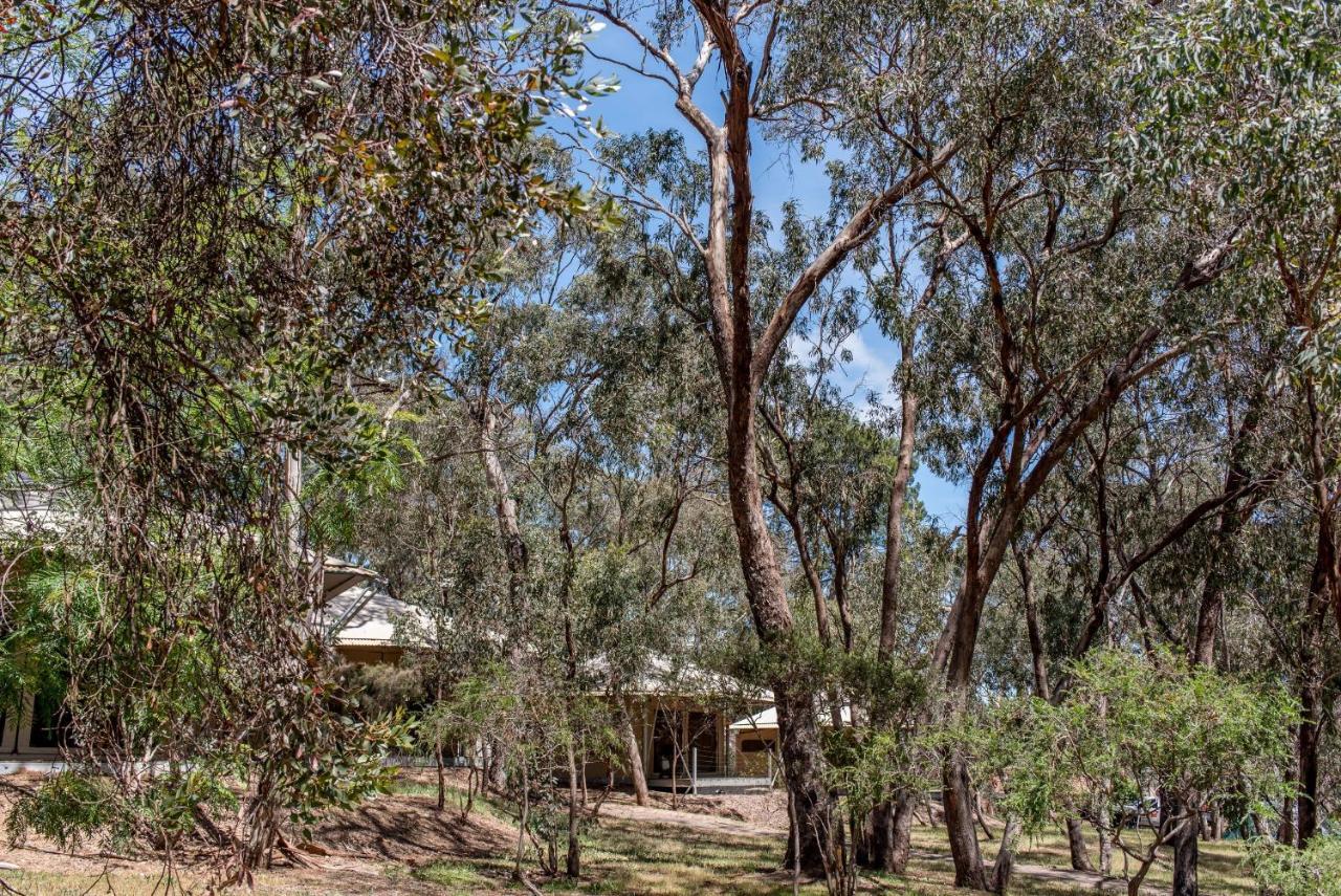 Belair National Park Holiday Park Luaran gambar