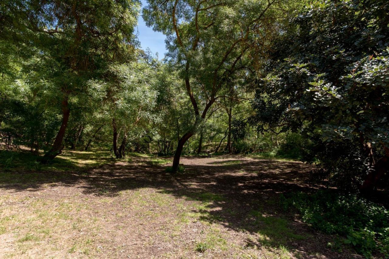 Belair National Park Holiday Park Luaran gambar